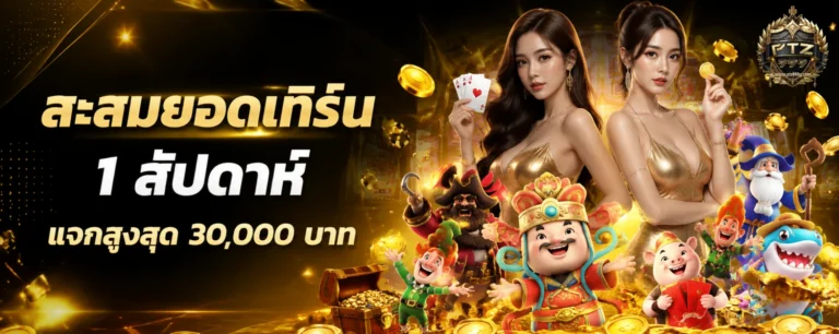 เข้าสู่ระบบ ptz999